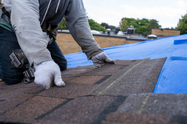 Best Tile Roofing Contractor  in West Hattiesburg, MS